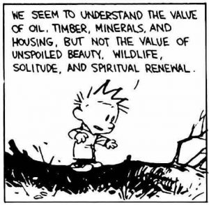 We seem to understand the value of oil, timber, minerals, and housing, but not the value of unspoiled beauty, wildlife, solitude, and spiritual renewal.